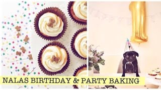 Nalas 1st Birthday amp Puppy Party Baking  MoreZoella RUS SUB [upl. by Enileve]