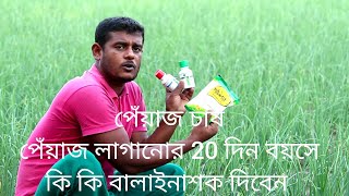 পেঁয়াজের পাতা পোড়া রোগের সমাধান [upl. by Ybroc]