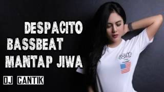 DJ Despacoto Vs Naik Turun oles Dan Kiri Kanan Manise [upl. by Yemorej754]