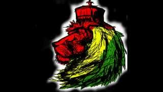 Alborosie Reggae Mix 2013 [upl. by Shanks335]