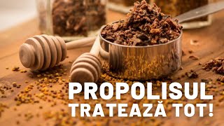 Propolis Cel mai puternic antibiotic Tinctura de Propolis în Cancer Herpes PneumoniiBronșite etc [upl. by Alita319]