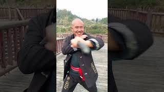 Respect Brother kung fu kungfu martialarts [upl. by Annohsat]