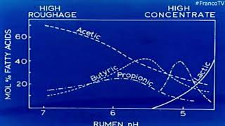 Fisiología Ruminal  Cambios de pH AcidosisAlcalosis [upl. by Alderson]