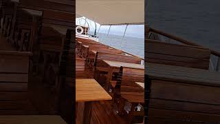 🚢 Dampfschiff Hohentwiel Romanshorn Lake Bodensee 🚢 travel Bodensee travelvlog [upl. by Sumedocin]