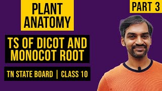 Plant Anatomy TN Class 10  TS of dicot root  TS of Monocot Root  One shot [upl. by Eisned]