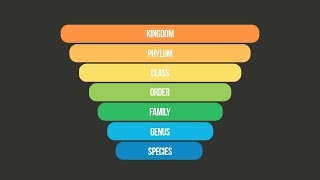 SCIENTIFIC CLASSIFICATION SONG Taxonomy Song  Science Music Video [upl. by Eleahcim527]