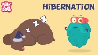 Hibernation  The Dr Binocs Show  Learn Videos For Kids [upl. by Rosanne470]