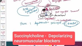 Succinylcholine  Depolarizing neuromuscular blockers neurology 170  First Aid USMLE Step 1 [upl. by Secnarf]