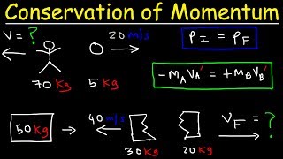 Conservation of Momentum Physics Problems  Basic Introduction [upl. by Tempa]