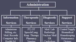 Hospital Organizational Structure [upl. by Ahsak]