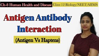 Antigen Antibody Interaction Antigen StructureAntibody Reaction Human Health amp Disease Class 12 [upl. by Solracnauj]