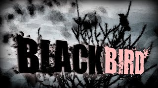 quotBlackbirdquot  Creepypasta  Horror Story [upl. by Meier]