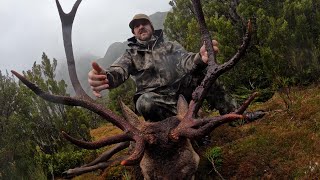 Chasing Wapiti Stags in Fiordland Epic Adventure in Extreme Conditions [upl. by Ardiekal]