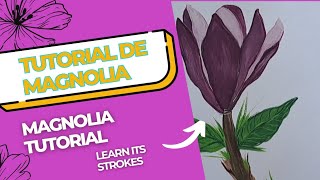 APRENDE A PINTAR UNA MAGNOLIALEARN HOW TO PAINT A MAGNOLIAartecolombiano tutorialmagnolia [upl. by Mozza]