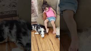 Pet pig and dog join napping toddler for a cozy cuddle  Humankind shorts goodnews [upl. by Liebermann477]