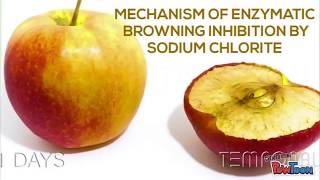 Mechanism of enzymatic browning inhibition by Sodium Chlorite [upl. by Yrellav]