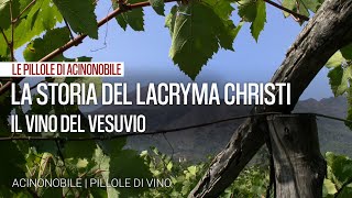 La storia del vino Lacryma Christi [upl. by Hiram]