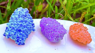 ASMR Crushed snail eggs  Apple snail Eggs 19 Minutes ASMR Relaxing Hungry And Deep Sleep🐌 [upl. by Leotie]