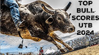 Counting Down the Top Bull Scores of the 2024 UTB Season [upl. by Ellives]