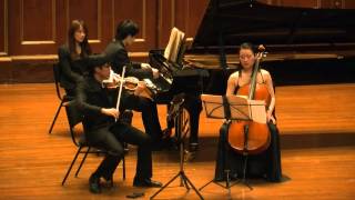 Tchaikovsky Piano Trio in A minor Op 50 [upl. by Edalb]