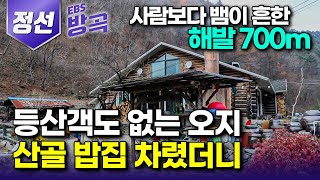 강원 정선 사람 한 번 보려면 1시간을 걸어야 하는 해발 700m 손님 없는 오지에 밥집 차린 부부｜가마솥 연기 그치는 날 없이 손님 찾아오는 산골 밥집｜한국기행 방방곡곡 [upl. by Dammahum50]