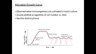 Micro Cell Division and Population Growth [upl. by Sido]