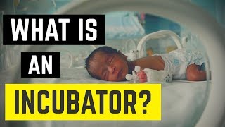 What is an Incubator Isolette Nurse Stefan [upl. by Horton]