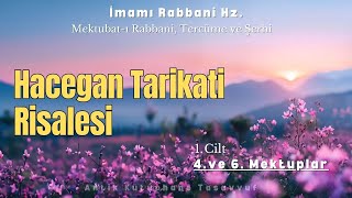 Hâcegân Tarikati Risalesi  İmamı Rabbani Hz  Mektubat  Sesli Kitap [upl. by Settera8]