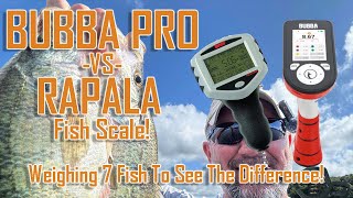 BUBBA PRO FISH SCALE VS RAPALA FISH SCALE Will The Weight Be The Same EP 3524 [upl. by Irvine203]