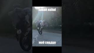 bse эндуро stant motocross стант enduro стантрайдинг bikelife 12oclock [upl. by Demy]