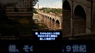 High Bridge  ハイ・ブリッジ：ニューヨークの橋シリーズ shorts [upl. by Wester]