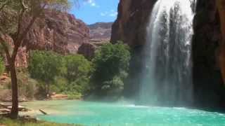 Havasu Falls Adventure [upl. by Camellia]