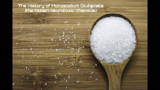 The History of Monosodium Glutamate the hidden neurotoxic chemical Part One [upl. by Akamahs]