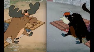 Which Is Better 28  Homesteader Droopy vs Senor Droopy [upl. by Ahtel126]