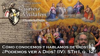 ¿Podemos ver a Dios IV STh I q 12  Quaerere Veritatem 53 [upl. by Enelie]