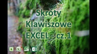 14 Skróty klawiszowe Excel czesc 1 [upl. by Huttan]