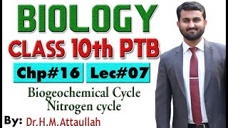 Nitrogen Cycle  Chapter  16  Biology Class 10th  Lec 7 [upl. by Prud332]