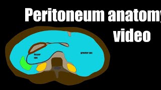 Peritoneum anatomy video [upl. by Dilahk213]