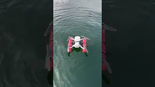 Dji mini 2 drone landing in water [upl. by Eads]