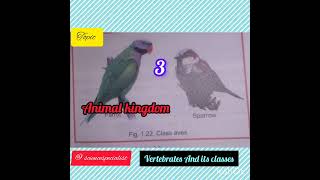 Animal kingdom and its types classes of vertebratesbasic scienceScienceSpecialist [upl. by Amberly]