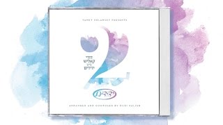 Yedidim 2  with Dudi Kalish Audio Sampler ידידים 2 מיט דודי קאליש  הצצה אודיו [upl. by Enifesoj]