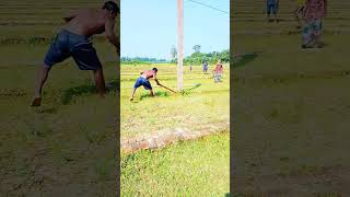 অল্পের জন্ন্যে রক্ষা ভাই।viralvideo comedyvideos comedy funnyshorts excavator tranding [upl. by Eiramanad]