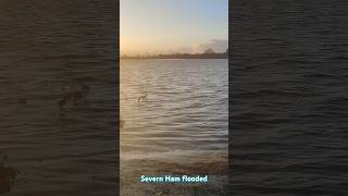 tewkesbury avon flood [upl. by Ahsain]