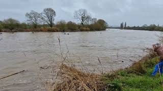 Severn Bore At The Severn Bore Pub  Minsterworth March 12 20241 [upl. by Bunting]