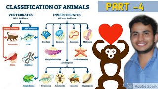 Outline of animal classification  animal kingdom  cbse 2021 [upl. by Zerline]