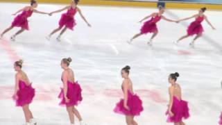 Valley Bay Synchro  Cup of Berlin 2017  Free Skating [upl. by Anelegna593]