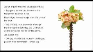 Ljudbok Den lille prinsen kapitel 7 Prinsens blomma [upl. by Jobye695]