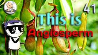 ANGIOSPERM  ANGIOSPERM IN HINDI  ANGIOSPERM AND GYMNOSPERM [upl. by Landre]