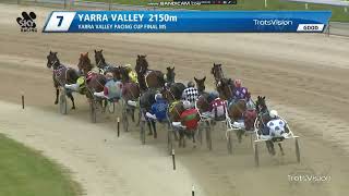 2024 Yarra Valley Pacing Cup [upl. by Dincolo]