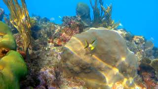 Snorkeling Jibacoa Cuba [upl. by Assirolc]